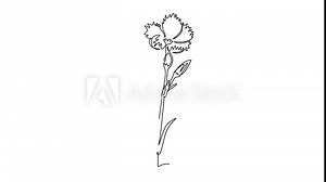 Animated self drawing of continuous line draw of beauty fresh dianthus for home decor poster wall art. Printable decorative carnation flower for wedding invitation card. Full length one line animation