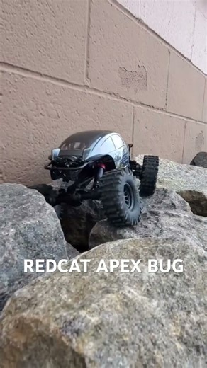 REDCAT APEX BUG
