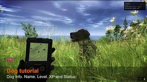 21K views · 296 reactions | VIDEO - Learn how to train and treat your dog from this tutorial video. | TheHunter Classic | Facebook