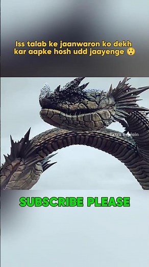 Iss talab ke jaanwaron ko dekh kar aapke hosh udd jaayenge 😲 #shortvideo #shorts #youtubeshorts