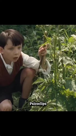 el niño con el pijama de rayas | parte 2 🪾🌟 #psicoclips #resumendepeliculas #relatos #resumen #narracion