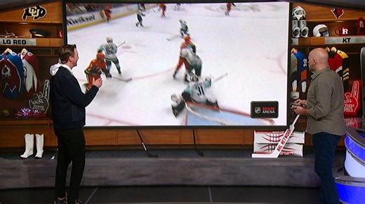 NHL Sense Arena: Anaheim Ducks