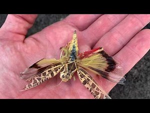 Crazy looking fly to mimic a huge grasshopper! - hopper fly - McFly Angler Dry Fly Tying Tutorials