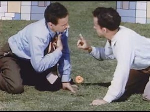 Neighbours c. 1952 : First short with pixilation technique