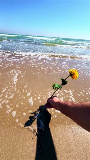 ☀️🌊❤️love… #viral #beach #asmr #love #art #thelove #look #usa #sea
