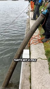 Had me cracking up instantly 🤣 #magnetfishing #treasurehunting | Bondi Treasure Hunter