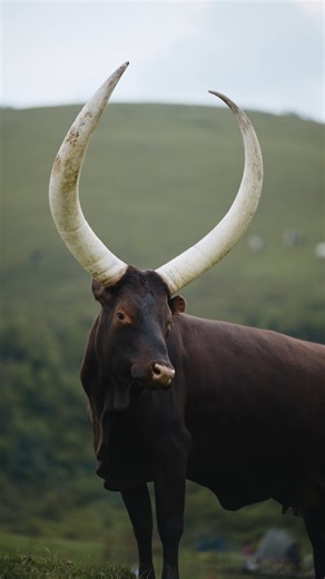 Allan ™️ on Instagram