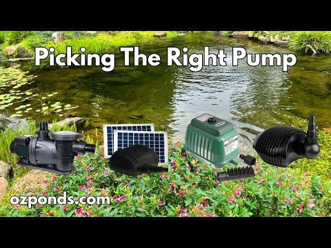 Pond Pumps Explained – Know Your Options