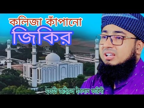 কলিজা কাঁপানো জিকির | জহিরুল ইসলাম ফরিদী | faridi jikir 2025 | nobodristix