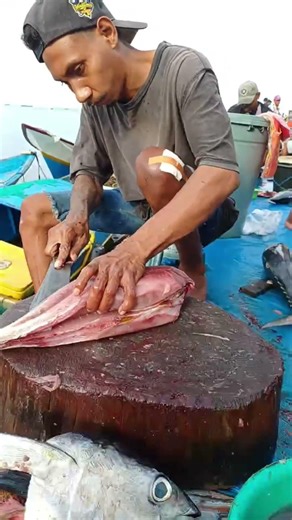 Bro Firman's skilled hands dexterity in splitting fresh tuna on the beach #fypシ゚viral #fish #talon