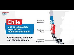🐟 Rentokil Initial en AquaSur 2026: Liderando la Bioseguridad en la Industria Salmonera