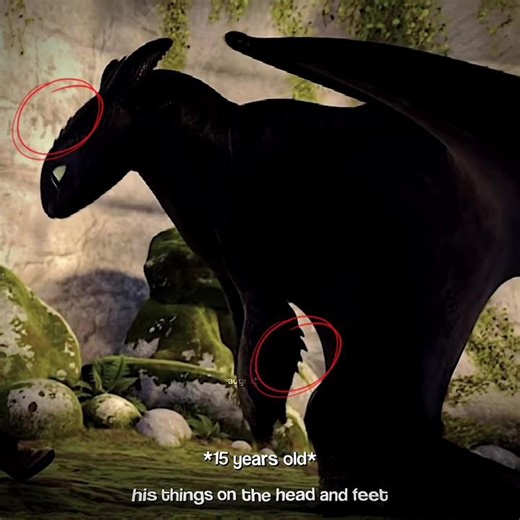 Toothless Evolution and Age Revealed in HTTYD Edits
