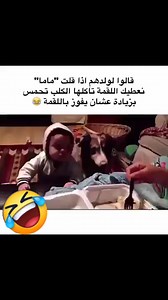1.4M views · 10K reactions | الكلب شد حيله وتكلم وقال ماما  #Funny #talking #dog #videos #saying #mama | Suhail Suhail | Facebook