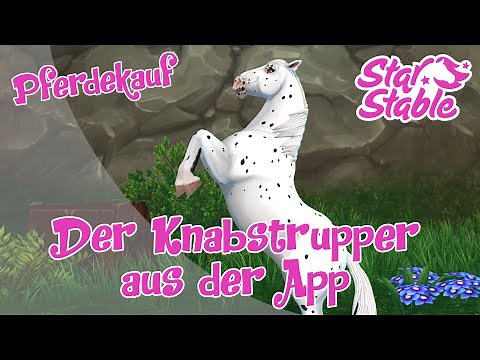 Star Stable [SSO] Pferdekauf - Der Knabstrupper aus der App