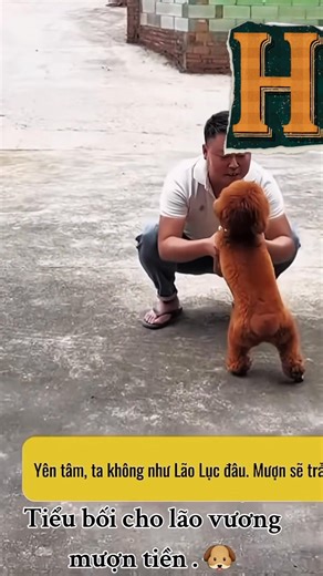 Em cũng thảo lắm | Dang Hoa