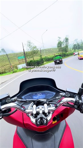 Explore The Daun Coffee: Hotspot in Bogor