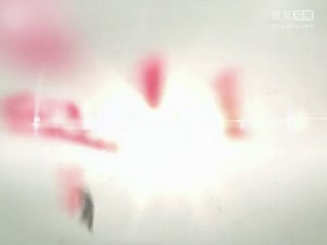 第37集 Unit8 Open Day 学校里的物品单词