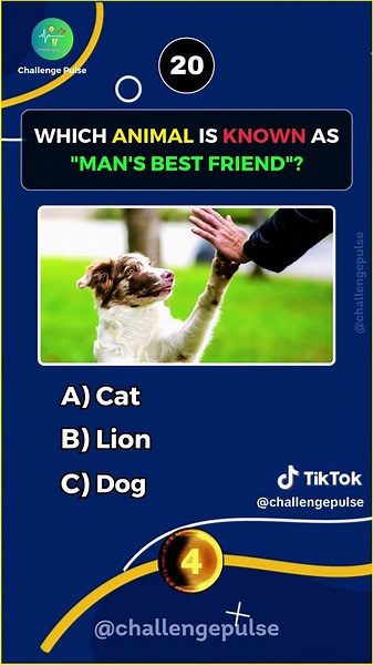 General knowledge quiz 🧠 #gk #generalknowledge #quiz #foryoupage #tiktok