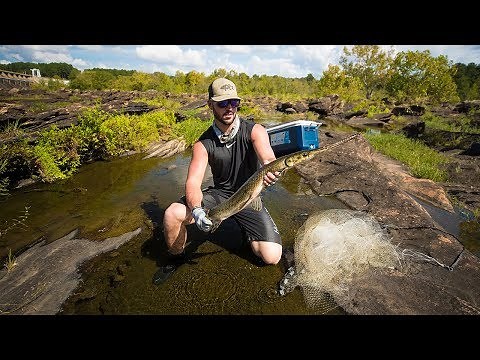 Rescuing Multiple Big Fish From Dried Up Pond!! (Rescue Mission) | Jiggin' With Jordan