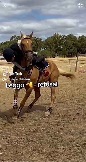 Epic Horse Riding Fails and Falls Compilation