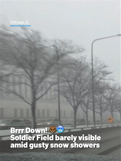 Snowstorm Hits Soldier Field in Chicago