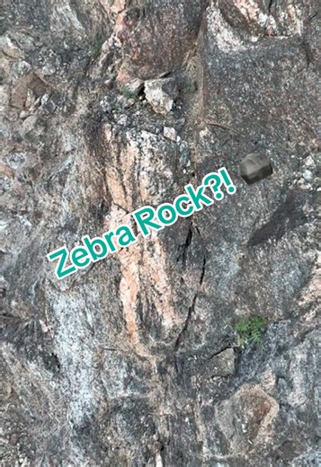 Have you ever seen K-feldspar? 👀 This mineral is one of the main minerals found in the ancient basement rocks in this area. These rocks formed deep underground and were later pushed up to the surface over millions of years. K-feldspar (potassium feldspar) commonly forms alongside quartz and other minerals in igneous and metamorphic rocks, and when those rocks break down through weathering and erosion, the crystals can end up in river gravels. It’s actually one of the most common minerals in Ear