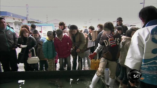 How Do They Do It? (TV Series 2006– ) ⭐ 7.4 | Documentary