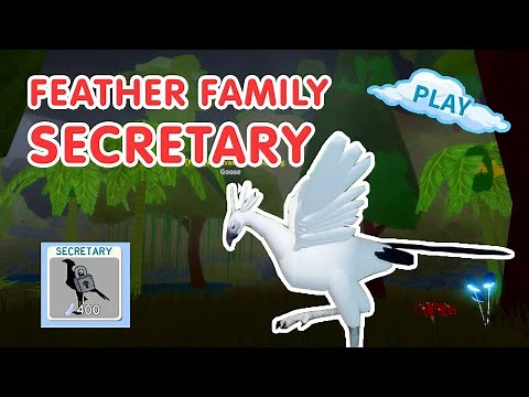FEATHER FAMILY SECRETARY *IS THIS THE PRETTIEST BIRD!?