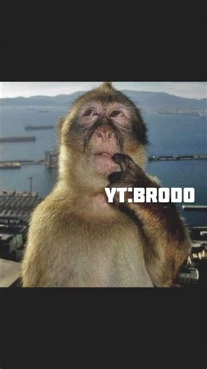 Overheating😭💔 #memes #funny #humor #brainrot #shorts #slideshow #dankmemes memes