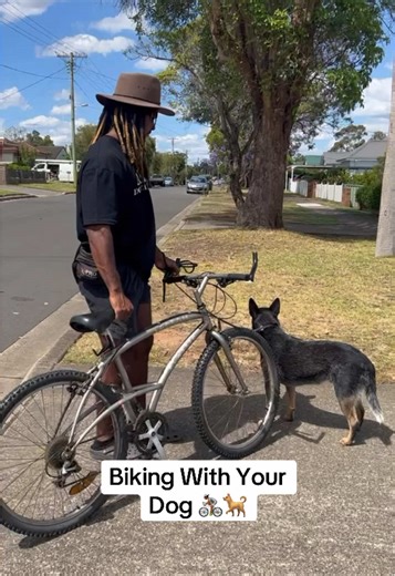 Teaching Your Dog to Ride Safely on a Bike