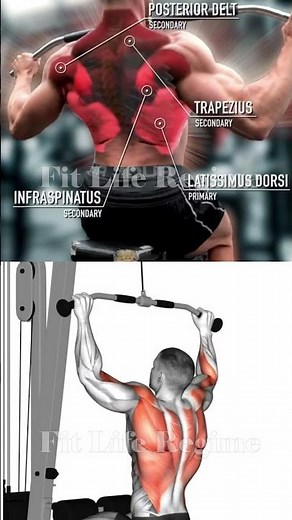 Beginner Back Workout Using Machines | 3 Easy Moves