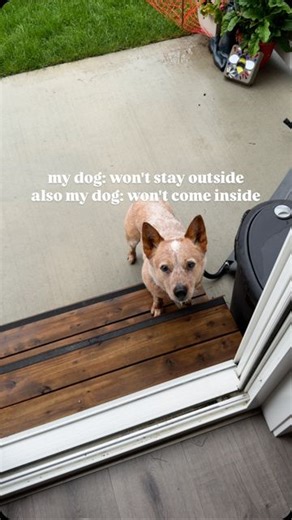 Victoria Sarton + Hayden & Arlo on Instagram