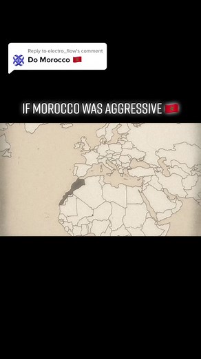Reply to @electro_flow If Morocco was aggressive 🇲🇦 #morocco #algeria #africa #fyp #viral #ww3