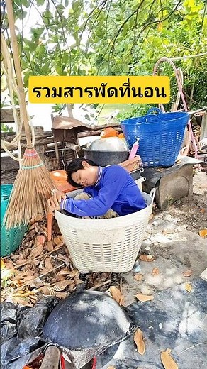 Compilation of Random Places to Sleep: In the Woods, in a Basket, by the Trash, by the Canal, and...