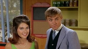 Watch Flipper Season 3 Episode 6 - Cupid Flipper