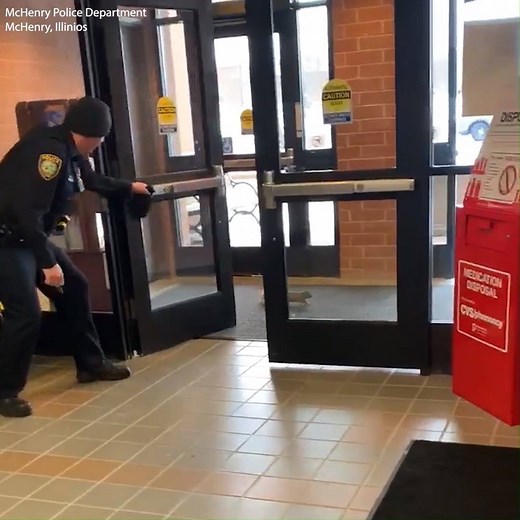 OFFICERS VS SQUIRREL: The police department in McHenry, Illinois says their officers need additional training after this incident with a squirrel. STORY: https://bit.ly/2QqxUfw | FOX 13 News - Tampa Bay
