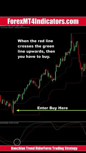 Donchian Trend Rider Forex Trading Strategy