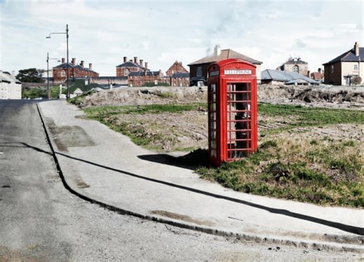 Carntyne & Riddrie Information Page | Is there any update on the wee dog that escaped out the back gate & was hit with a car & left | Facebook