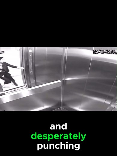 Brazil's Most Shocking Murder Case: The Tatiana Spitzner Story Part 5 | tatiana spitzner