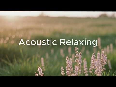 Wildflower - Acoustic Relaxing Instrumental | Humming Road