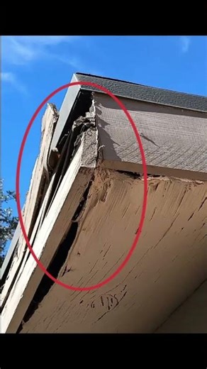 Damaged soffit, and fascia at roof corner with severe wood rot, splitting, and exposed structure.