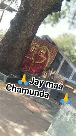 #funny #short​ video #sorts #funny #viral