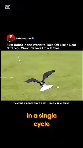 RoboFalcon 2.0: A bird-shaped flying robot that can take off on its own