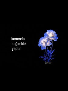 Arabic song>> #lyrics #lyrics_songs #arabicsong #songlyrics #türkiye | arabic songs