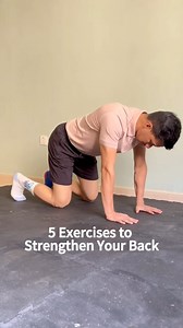 1.5M views · 8K reactions | 5 Daily Exercises You Should Be Doing to Strengthen Your Back!  #BackPainRelief #backpain #lowbackpainrelief #backpainexercises #physicaltherapy | Physical Therapy Session | Facebook