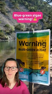Blue-green algae can be deadly to dogs, as some types release harmful toxins that can cause severe illness, organ failure – even death ⚠️ PDSA Vet Catherine explains how to spot blue-green algae and keep your dog safe 👩‍⚕️ See the full guide here: https://pdsa.me/JvxB #bluegreenalgae #pethealth #pethealthadvice #doghealth | PDSA