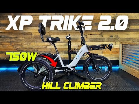MAX POWER - Lectric XP Trike 2.0 750W Motor Review