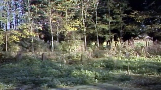 Doctor Who S13E26 The Seeds of Doom Pt 6 - (1963)