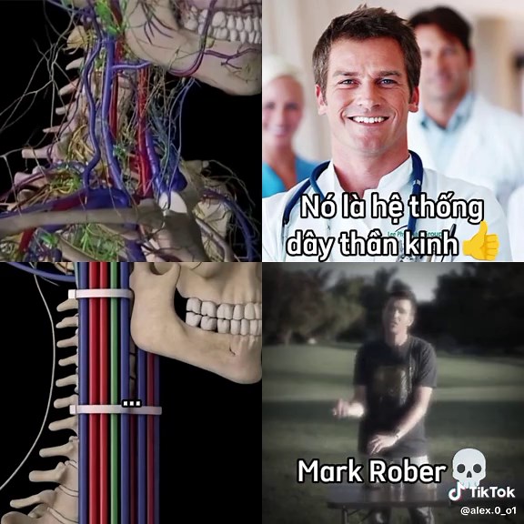 Mark Rober: Insights from an Ingenious Engineer