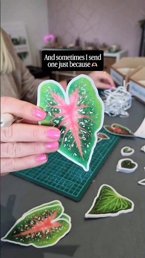 A chilled afternoon making plant stickers 🪴❤️ #plants #stickers #cricut